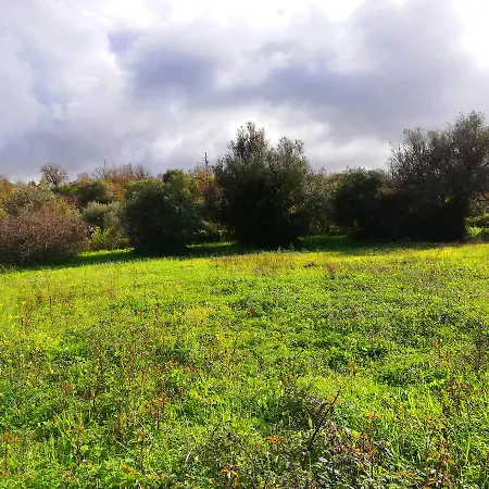 Vila Marchese